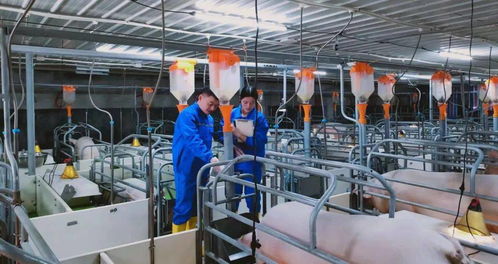 傲農食品鉅惠上線,邀您嘗鮮過年